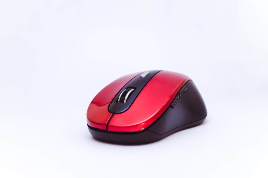 what is mouse in hindi