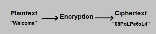 what is encryption in hindi