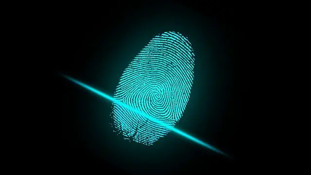 Microsoft windows hello fingerprint authentication